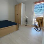 Miodowy *