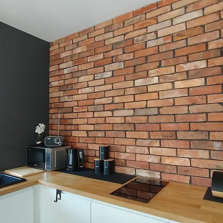Apartment Miodowy Wladyslawowo