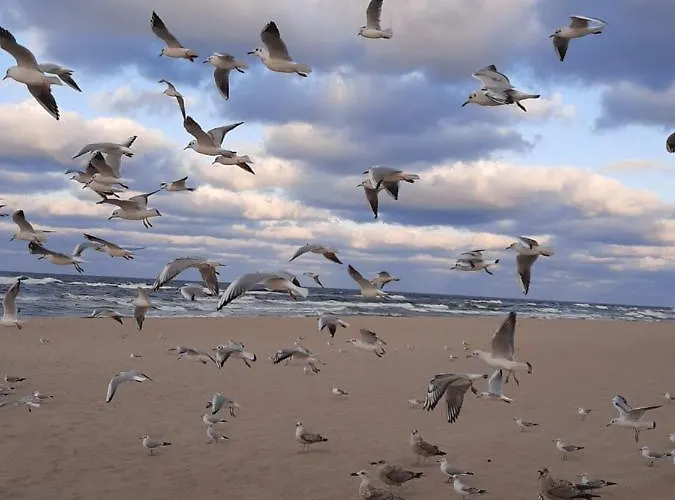 Miodowy דירה Władysławowo